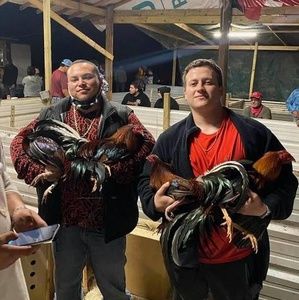 Meet your Posher, Adam